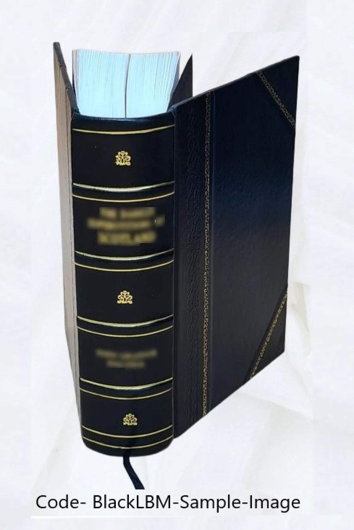 [Index (Soundex) to the population schedules of the twelfth census of the United States, 1900, Missouri] Volume  - TI055 - H-400 Georgia A.**-H-400 Squire J. 1900 [Leather