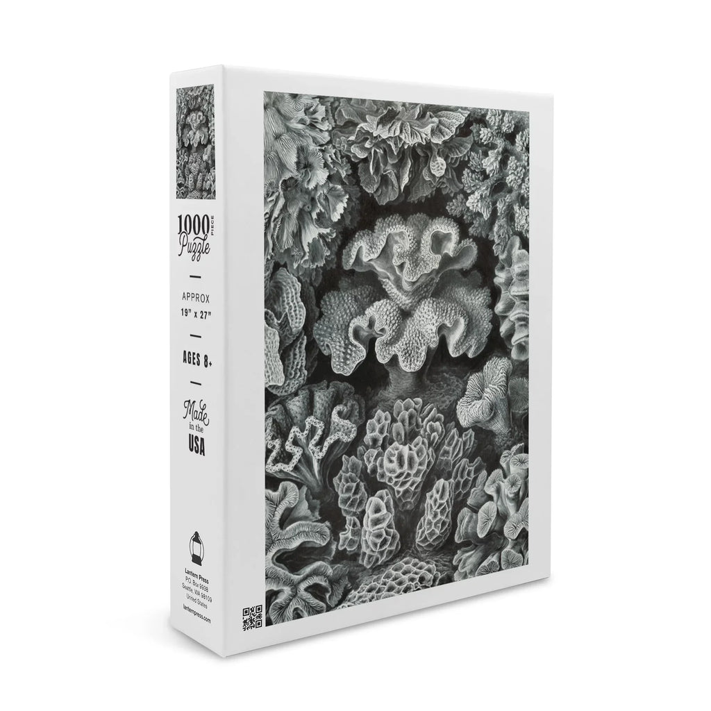 Ernst Haeckel, Hexacoralla (1000 Piece Puzzle, Size 19x27, Challenging Jigsaw Puzzle for Adults and Family, Made in )