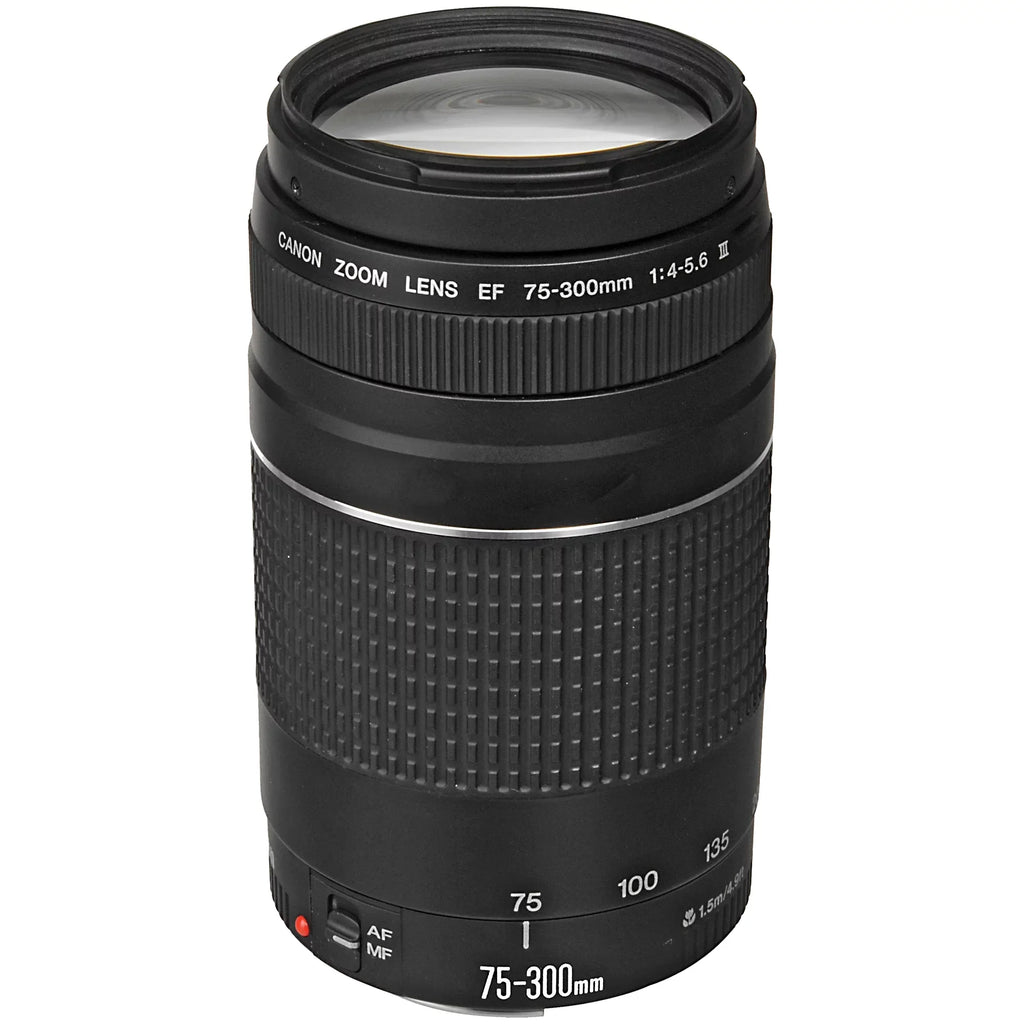 Canon  R6 Mirrorless Digital Camera with  24-105mm  + 75-300mm Lens + Mount Adapter + SanDisk 64GB + ZeeTech Accessory