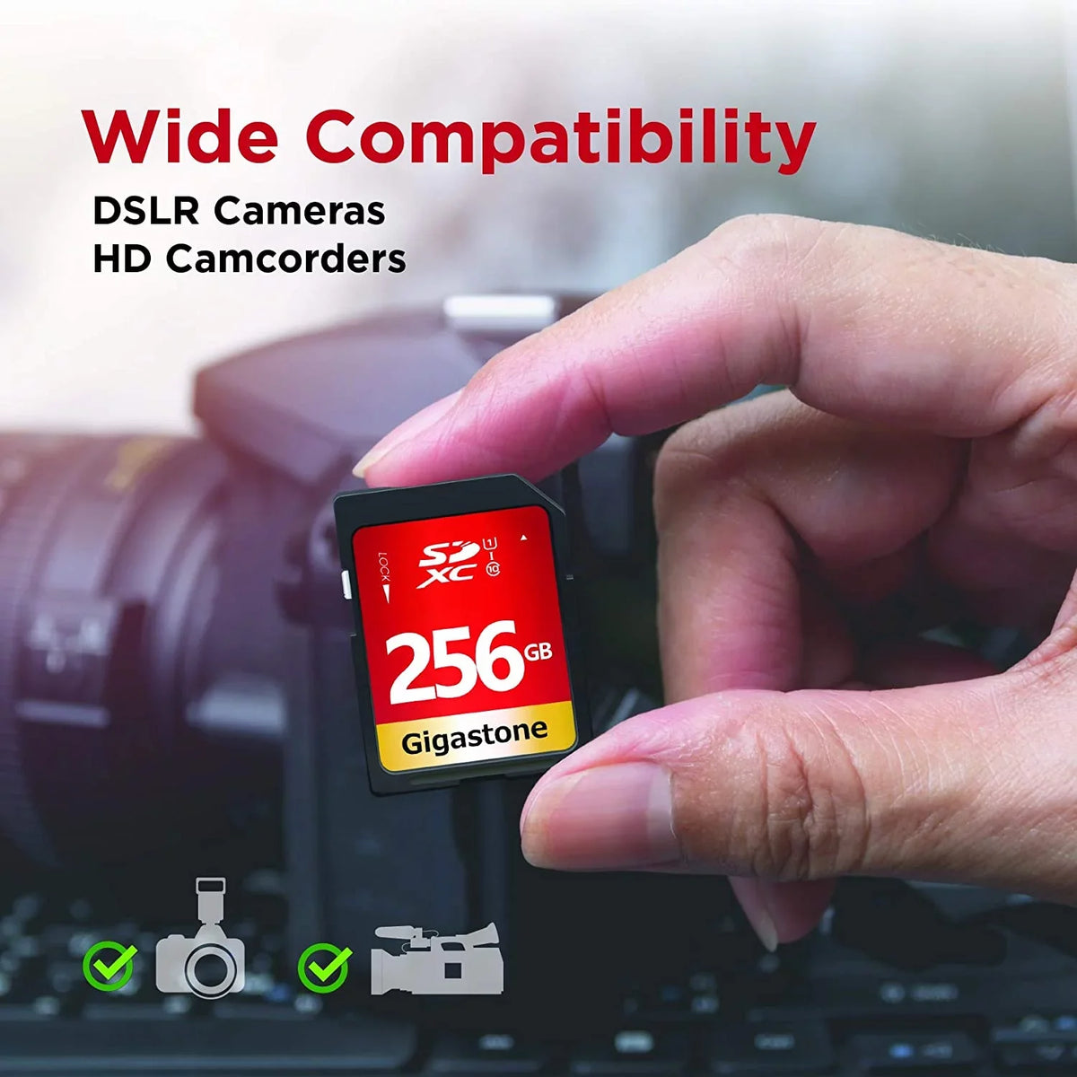 Gigastone 256GB  Card -I U1 Class 10  Memory Card High Speed Full  Video Canon Nikon Sony Pentax Kodak Olympus Panasonic Digital Camera
