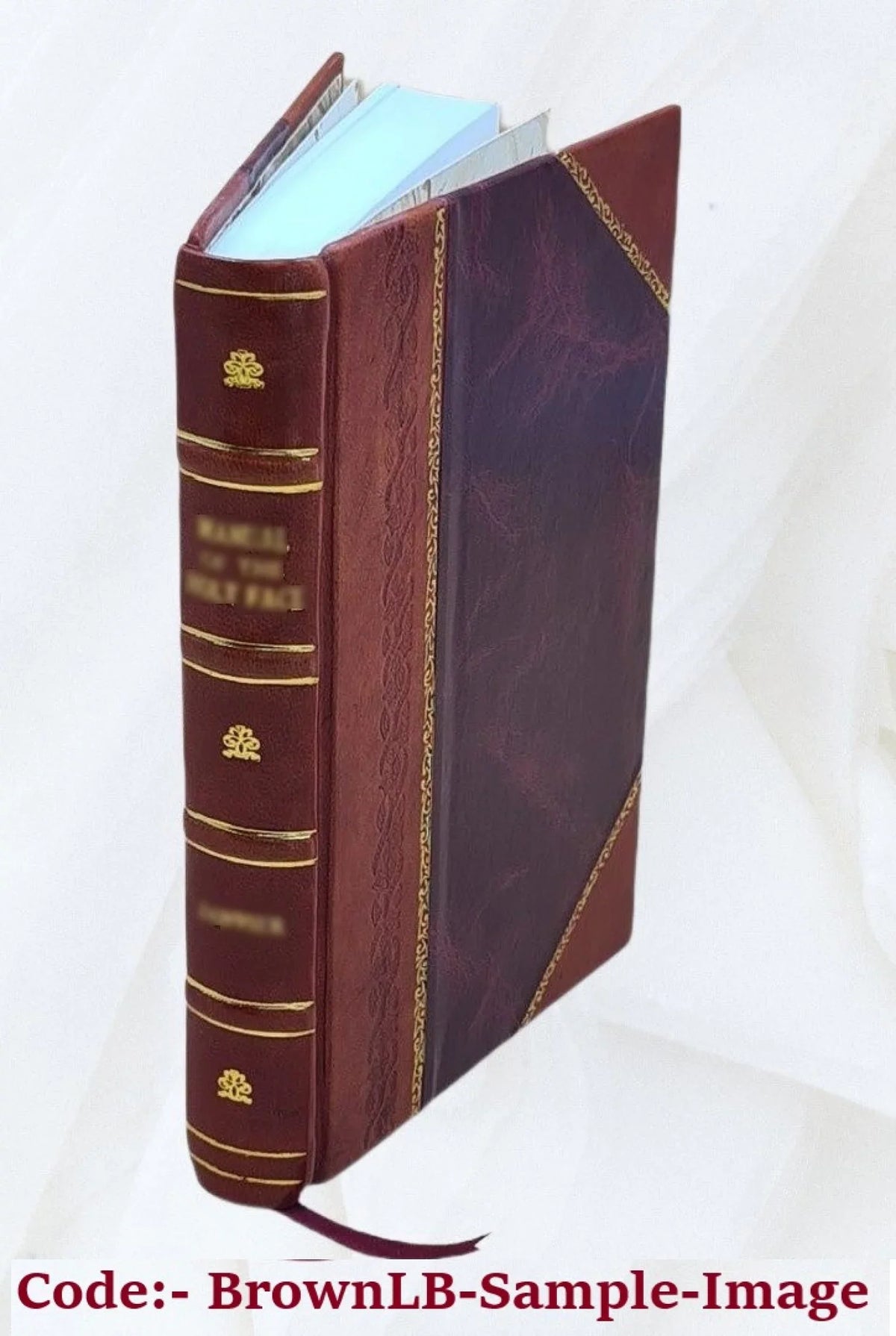 History of Memphis : The history of the city of Memphis, being a compilation of the most important documents and historical events connected with the purchase of its territory, laying off of the city