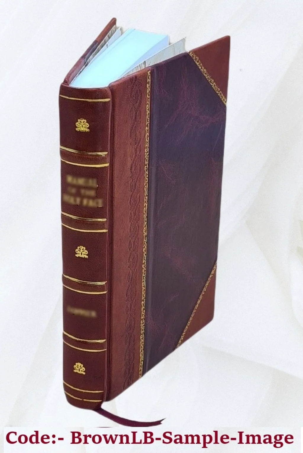 Aerodynamics : constituting the first volume of a complete work on aerial flight / by F. W. Lanchester. 1907 [Leather Bound]
