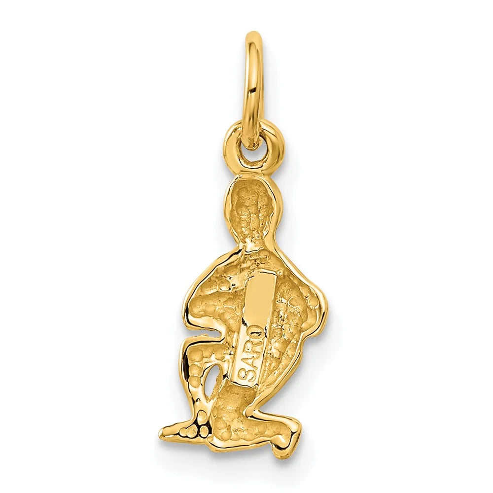 Finejewelers 10 kt Yellow Gold Aquarius Zodiac Charm 20 x 8 mm