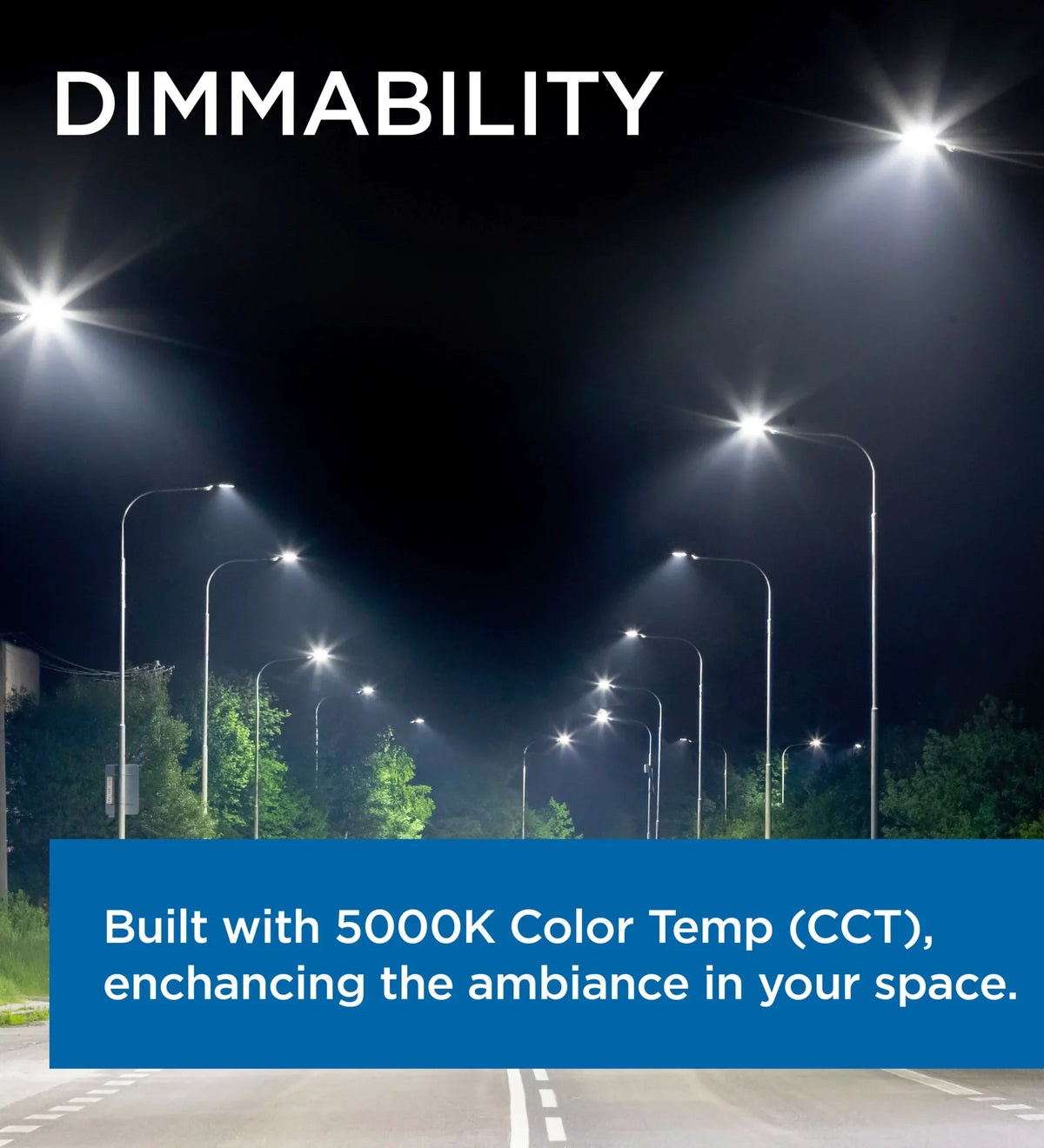 Viribright 100W  Roadway Light / 13,800 Lumens / 5000K