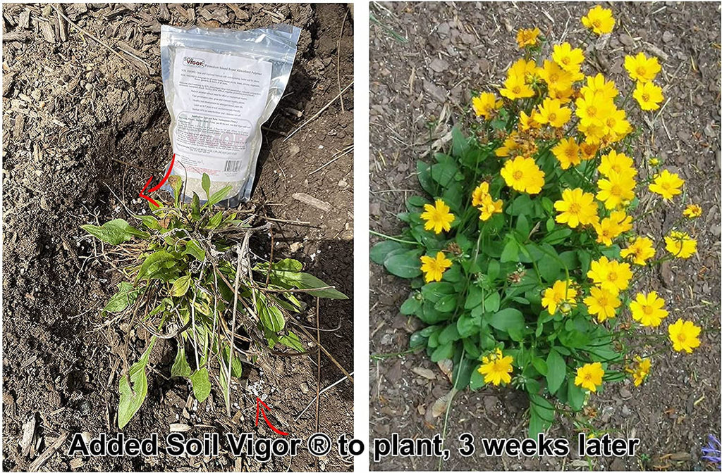 Potassium Polyacrylate Keep Moisture and Regulate The ph of Soil for Plant 5 Pounds