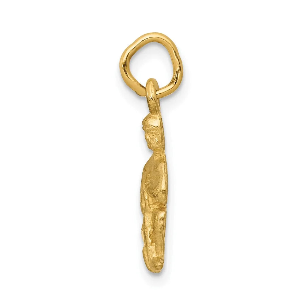 Finejewelers 10 kt Yellow Gold Aquarius Zodiac Charm 20 x 8 mm