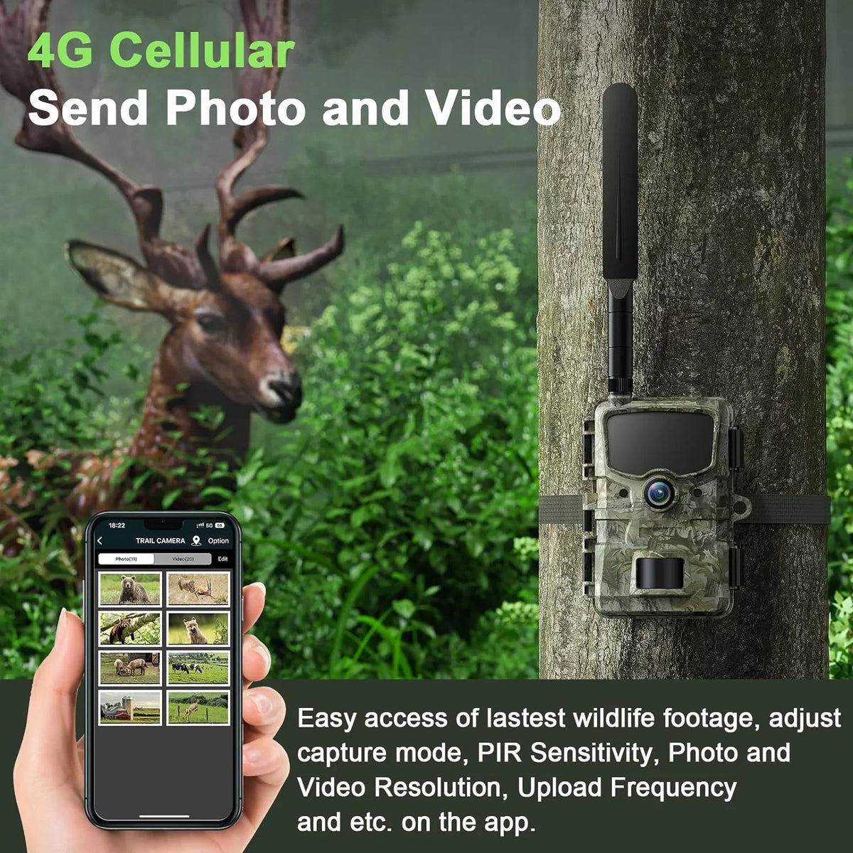 4G  Cellular Trail Camera Sends Picture Video to Cell Phone - 24MP 1080P Game Hunting Camera with Night Vision Motion Activated Waterproof for Wildlife Monitoring Trail Cam with  Card